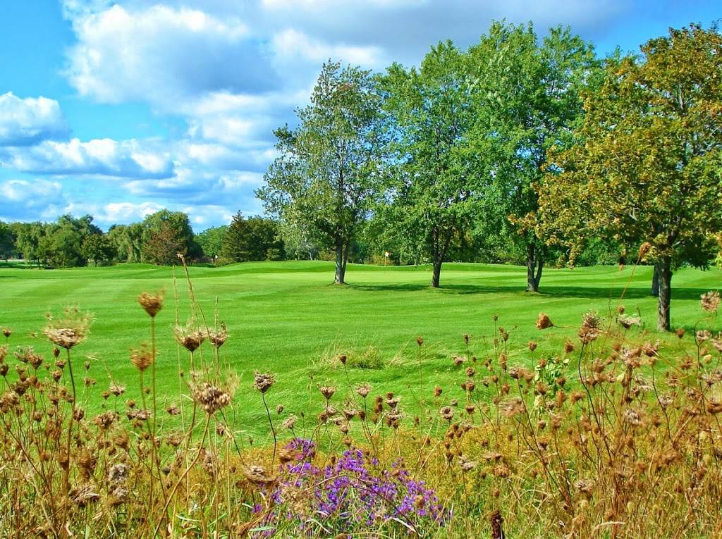 Southern Pines Golf & Country Club | meal takeaway | 8453 Airport Rd E, Mount Hope, ON L0R 1W0, Canada | 9056796308 OR +1 905-679-6308