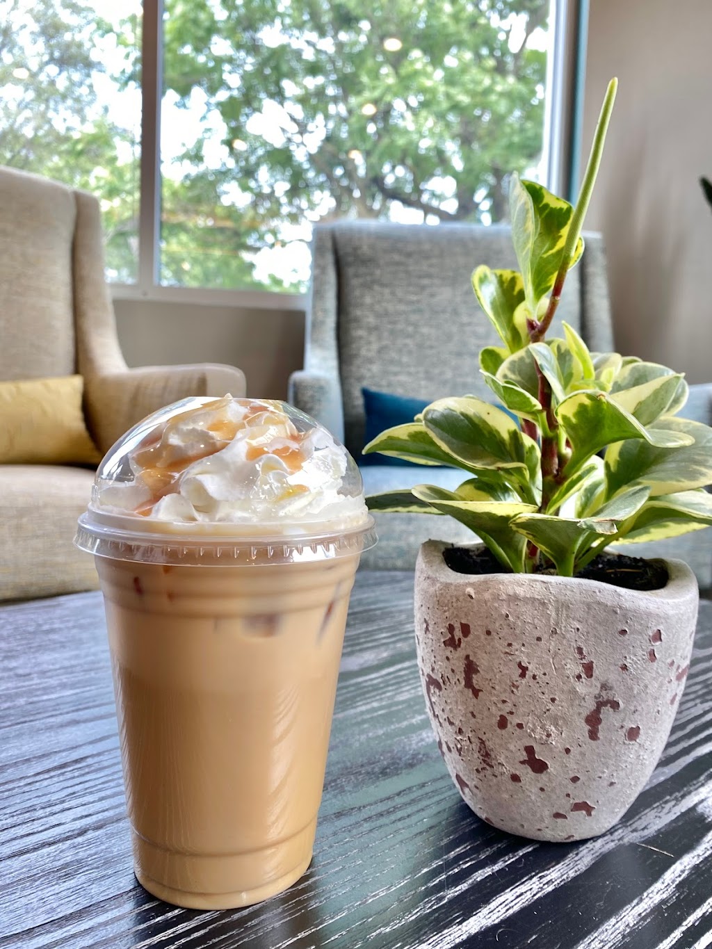 Command Coffee | cafe | 2910 N College Ave, Indianapolis, IN 46205, USA | 3177440096 OR +1 317-744-0096