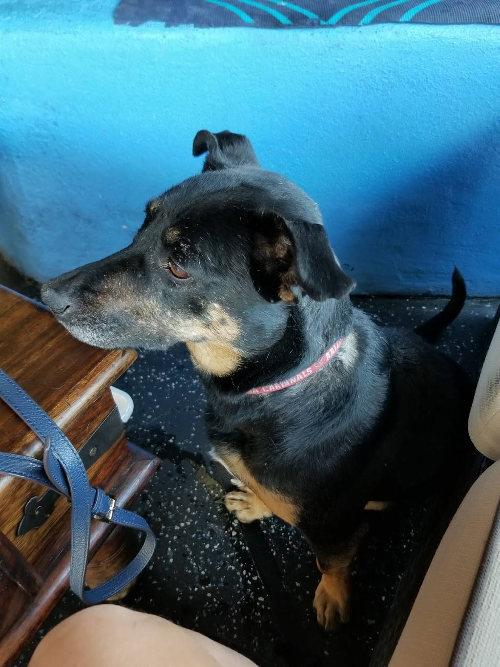 Piazza Gavi | restaurant | 5415 N Kolb Rd, Tucson, AZ 85750, USA | 5205771099 OR +1 520-577-1099