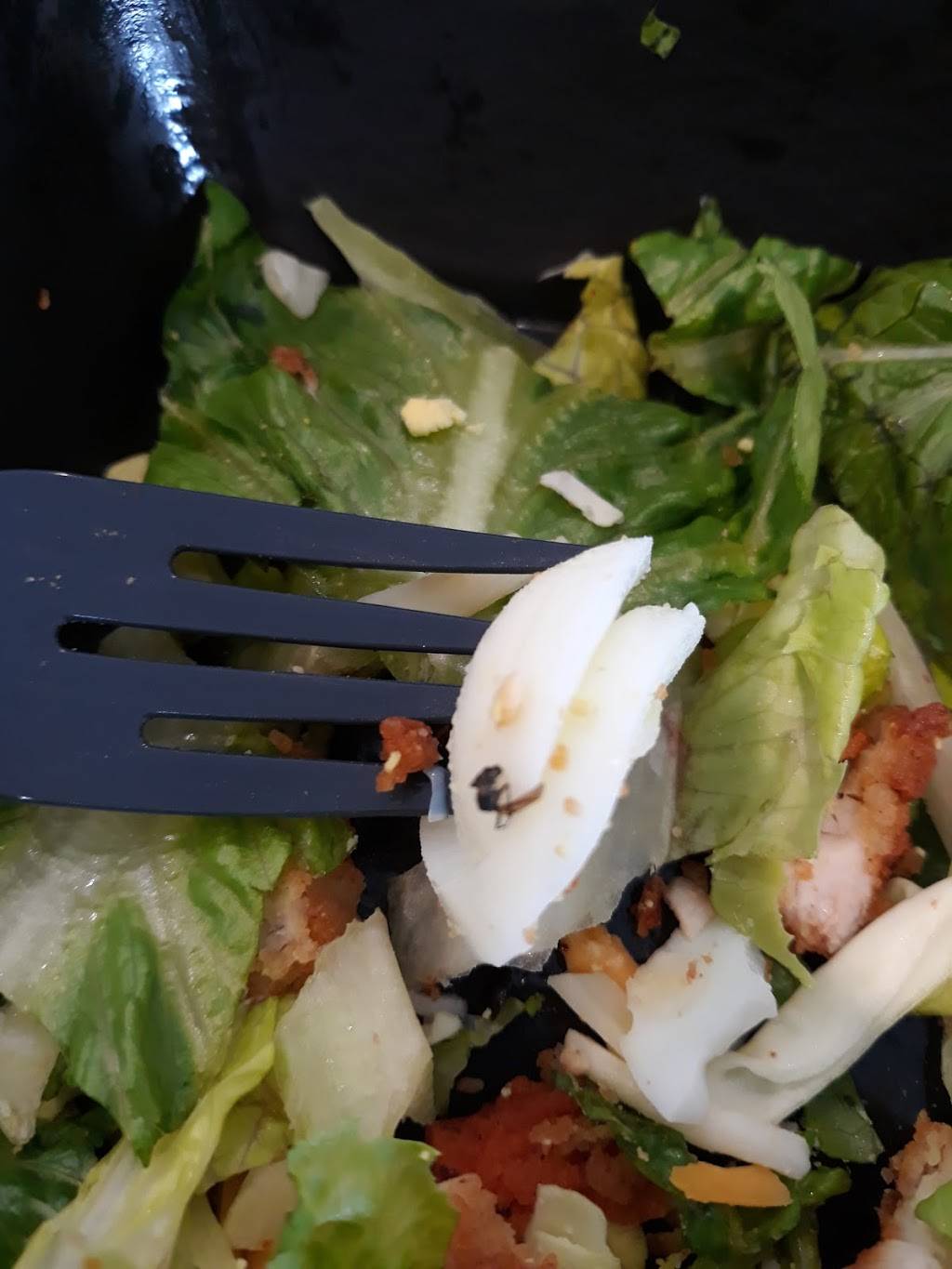 Chick-fil-A | restaurant | 3420 Bardstown Rd, Louisville, KY 40218, USA | 5024590070 OR +1 502-459-0070