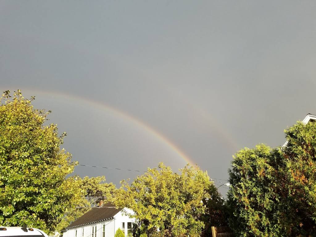 TJs Cafe | cafe | 1133 Central Ave, Albany, NY 12205, USA | 5184387457 OR +1 518-438-7457