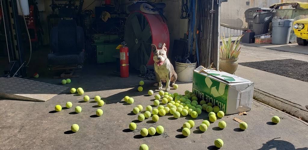 Left Coast Datsun | restaurant | 1485 Caspian Ave, Long Beach, CA 90813, USA | 5625054962 OR +1 562-505-4962