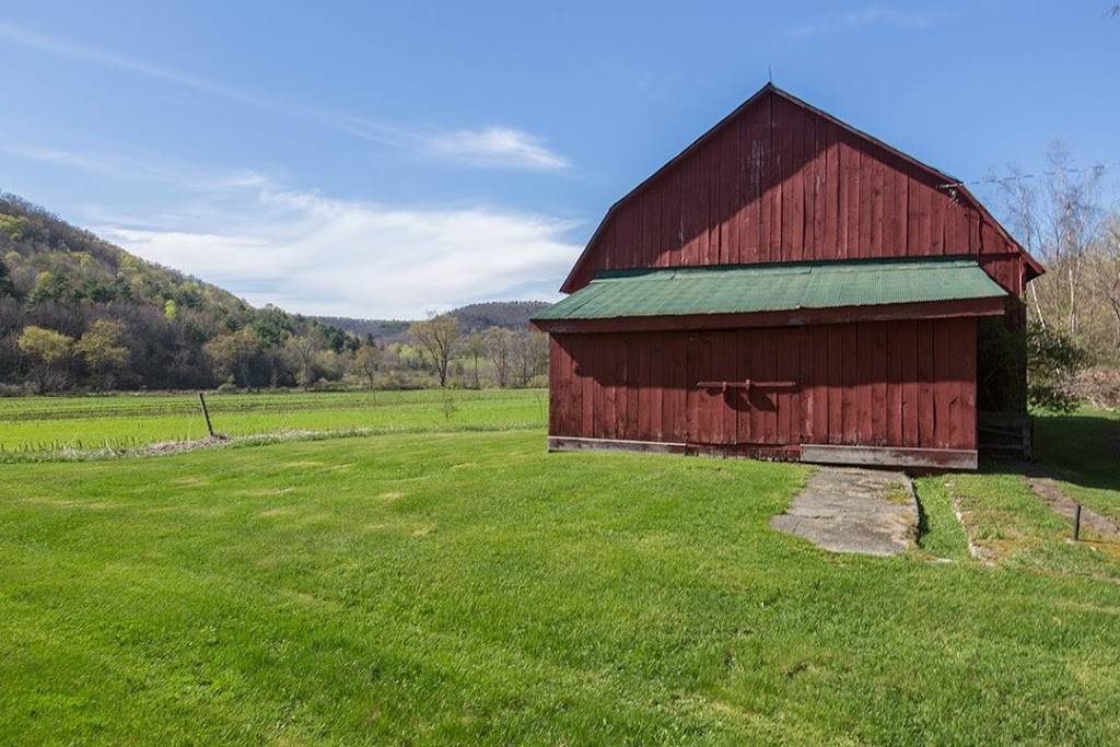 Mckie Hollow Farm | restaurant | 359 Mc Kie Hollow Rd, Cambridge, NY 12816, USA | 5183504991 OR +1 518-350-4991