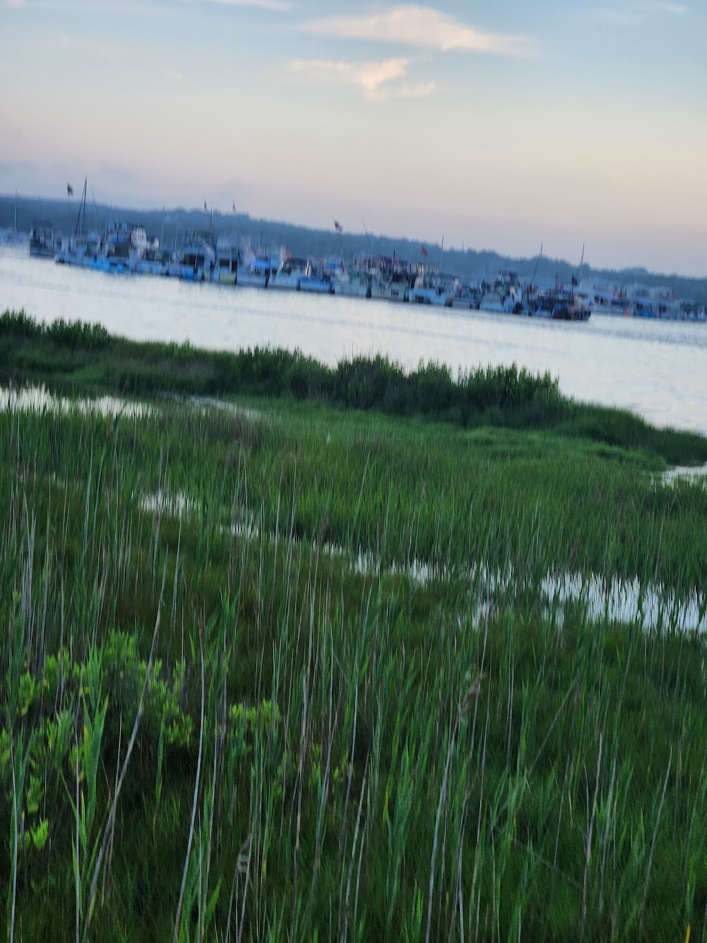 Block Island Pizza Truck | meal takeaway | Dinghy Beach, New Shoreham, RI 02807, USA | 4015256227 OR +1 401-525-6227