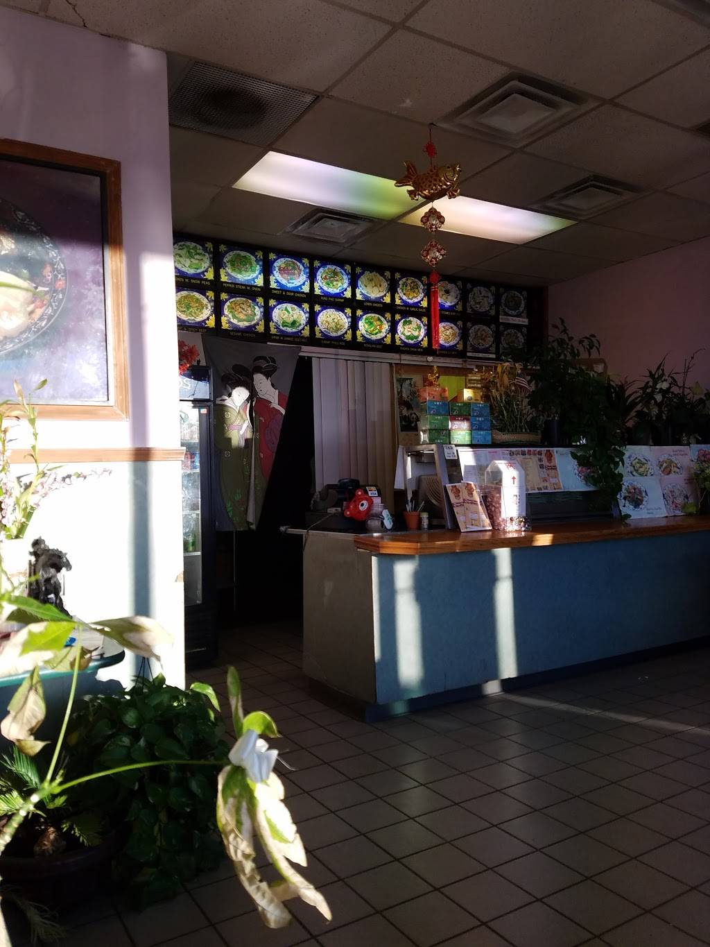 Dragon Town | restaurant | 636 N Lafayette St, South Lyon, MI 48178, USA | 2484868433 OR +1 248-486-8433