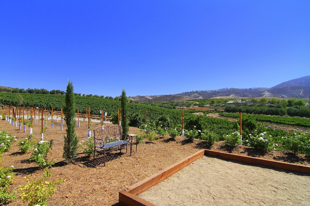 Robert Renzoni Vineyards | restaurant | 37350 De Portola Rd, Temecula, CA 92592, USA | 9513028466 OR +1 951-302-8466