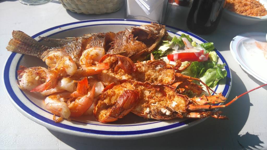 Restaurant-bar Playa Delfin | restaurant | Paseo del mar 13, Rosarito, 22710 Puerto Nuevo, B.C., Mexico | 016616140884 OR +52 661 614 0884