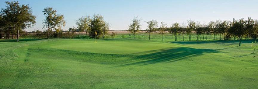 Stone River Golf Club | restaurant | 2001 Stone River Blvd, Royse City, TX 75189, USA | 9726362254 OR +1 972-636-2254