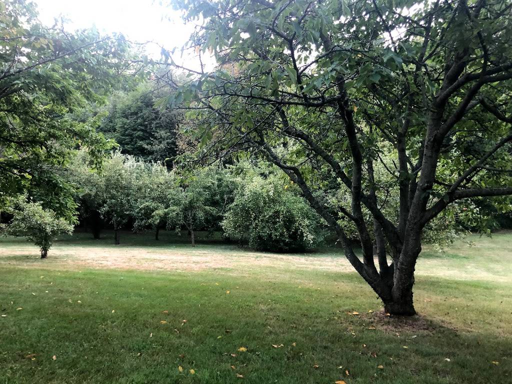 H Prime Chop House Seaffood and Steakhouse | restaurant | 101 Monroe St, Kalamazoo, MI 49006, USA | 2693441827 OR +1 269-344-1827