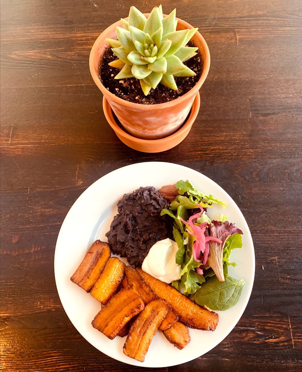 Califas Greens | restaurant | 1106 University Ave, Berkeley, CA 94702, USA | 5107051007 OR +1 510-705-1007