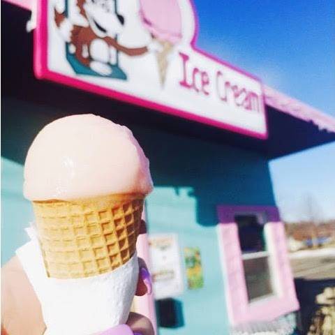 Foxys Ice Cream | meal takeaway | 131 E Hydraulic St, Yorkville, IL 60560, USA | 6303852716 OR +1 630-385-2716