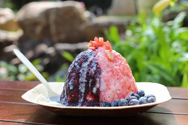 Island Vintage Coffee | cafe | 2301 Kalakaua Ave Suite 215, Honolulu, HI 96815, USA | 8089265662 OR +1 808-926-5662