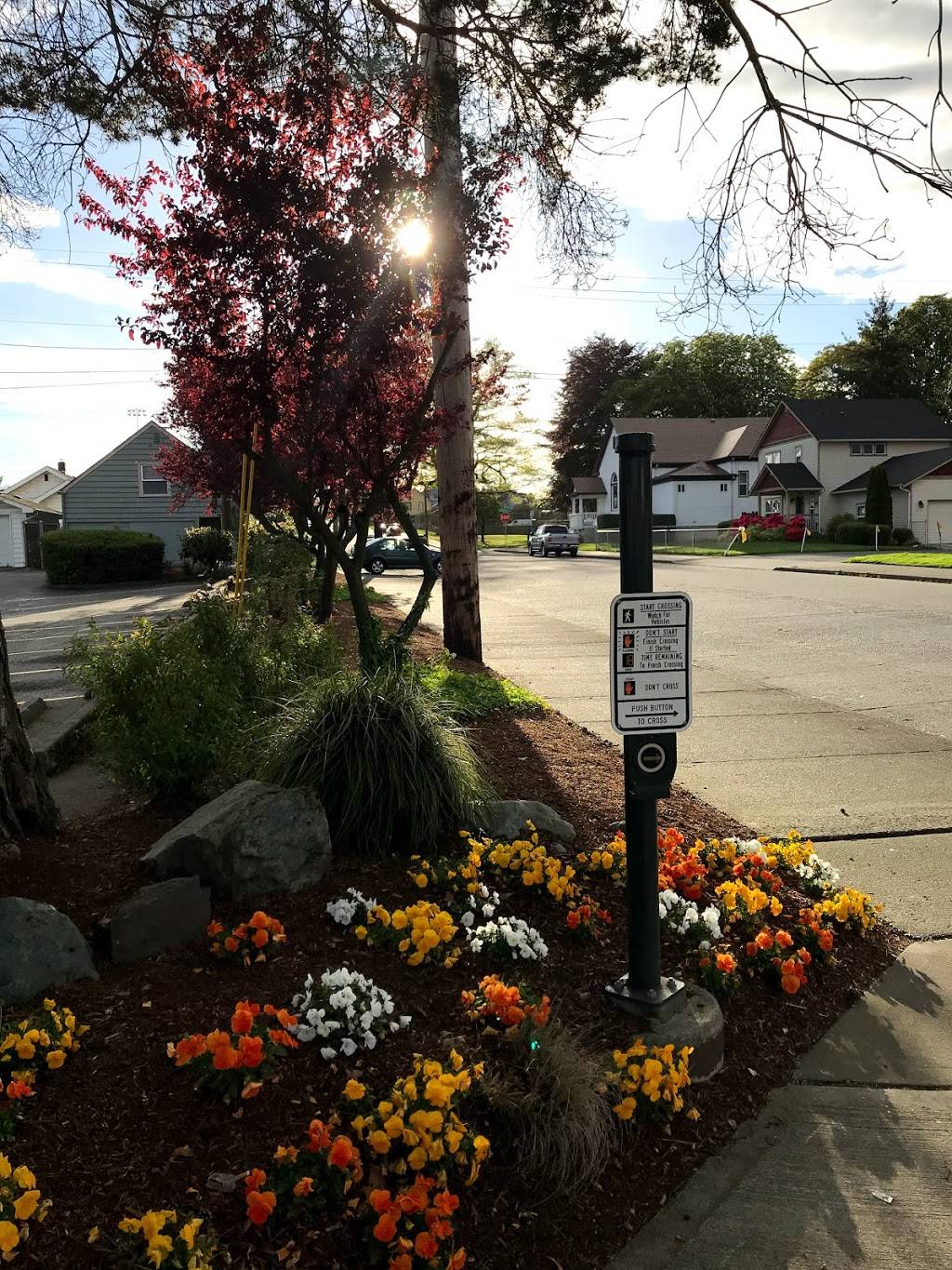 Wendys | restaurant | 2510 Broadway, Everett, WA 98201, USA | 4252595222 OR +1 425-259-5222