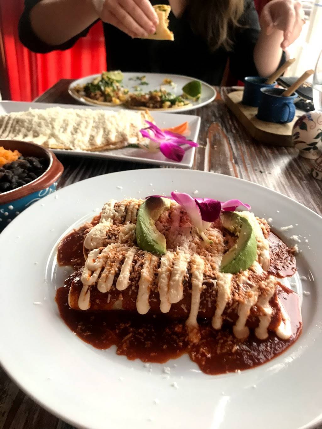 El Mero Mero | restaurant | 35-57 38th St, Astoria, NY 11101, USA | 7183922444 OR +1 718-392-2444