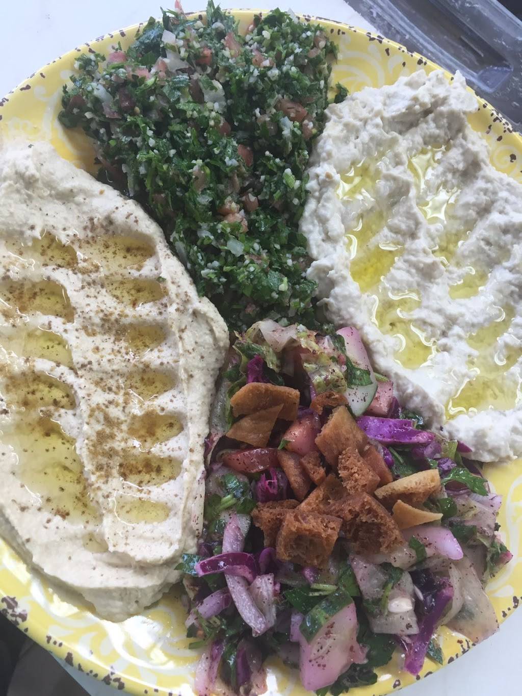 Damaskino Mediterranean Food | restaurant | 8840 Atlantic Blvd unit 6, Jacksonville, FL 32216, USA | 9046197074 OR +1 904-619-7074