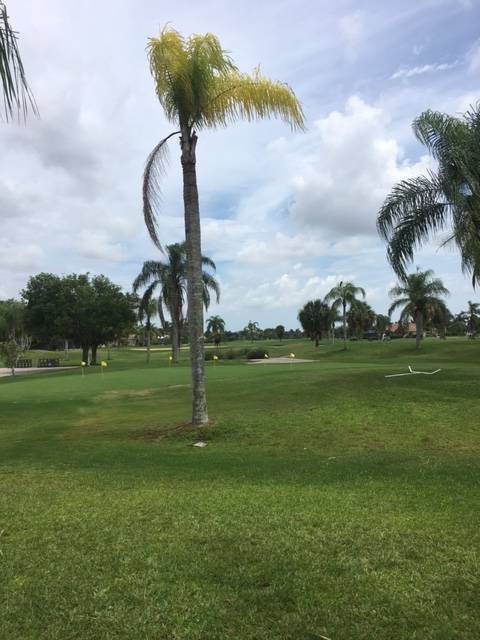 Cape Royal Golf Club | restaurant | 7534, 11460 Royal Tee Cir, Cape Coral, FL 33991, USA | 2392835522 OR +1 239-283-5522