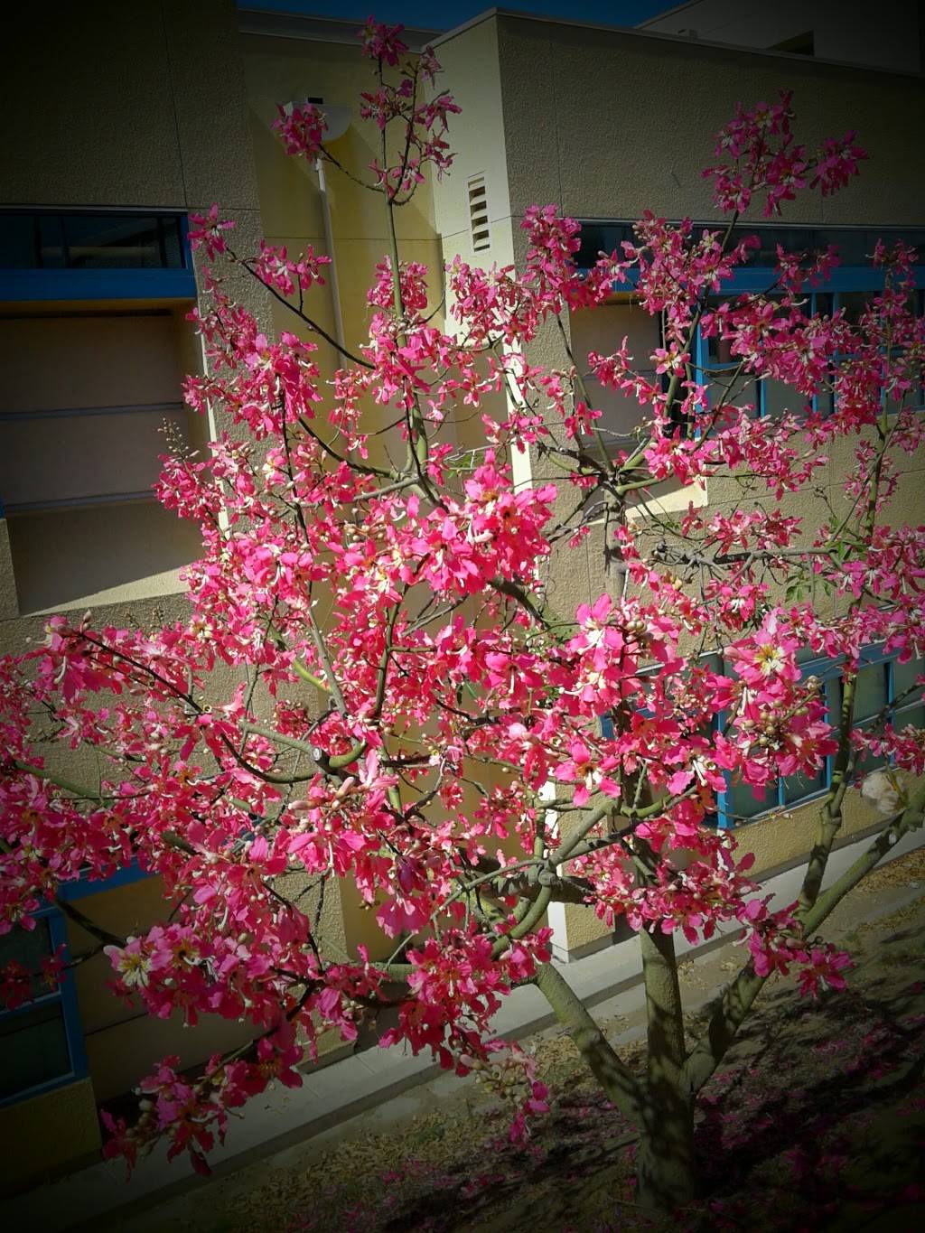 Atitlan Express | restaurant | 1624 W 6th St, Los Angeles, CA 90017, USA | 2133539005 OR +1 213-353-9005