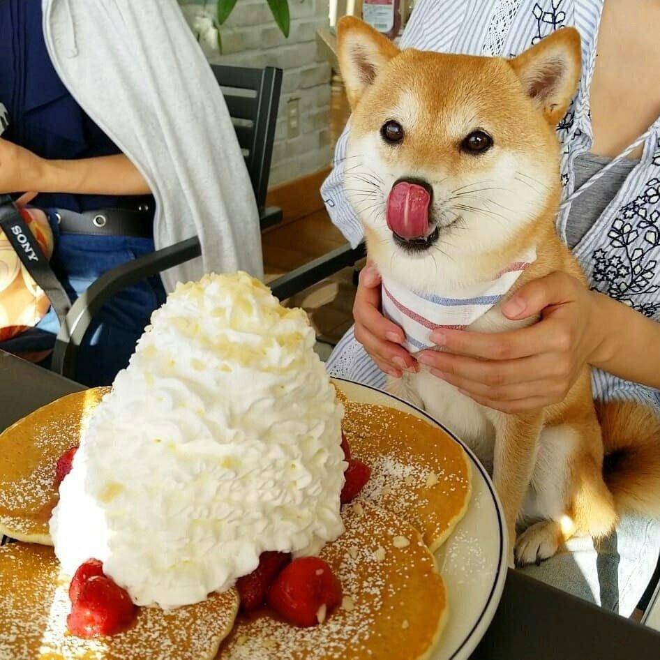 Dunkin | bakery | 1214 Main St, Wyoming, RI 02898, USA | 4014919979 OR +1 401-491-9979