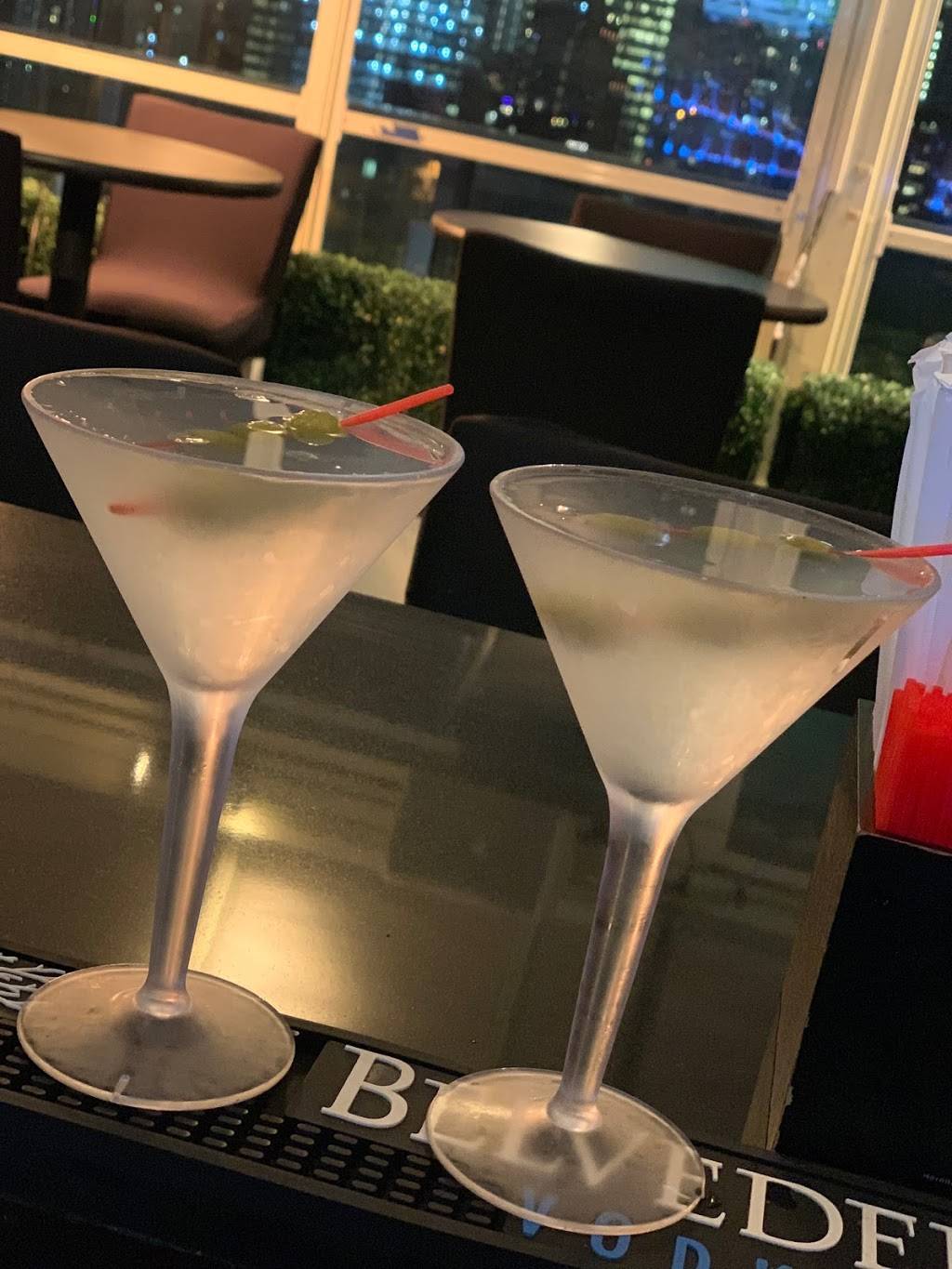 Vista Skylounge | restaurant | 27-05 39th Avenue Top Floor, Long Island City, NY 11101, USA | 3475363640 OR +1 347-536-3640