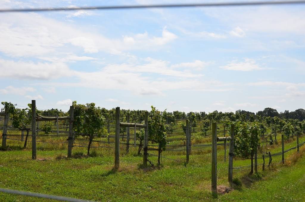 Eagletree Farm Winery & Restaurant | restaurant | 15100 Harrison Hill Ln, Leesburg, VA 20176, USA | 7037775208 OR +1 703-777-5208