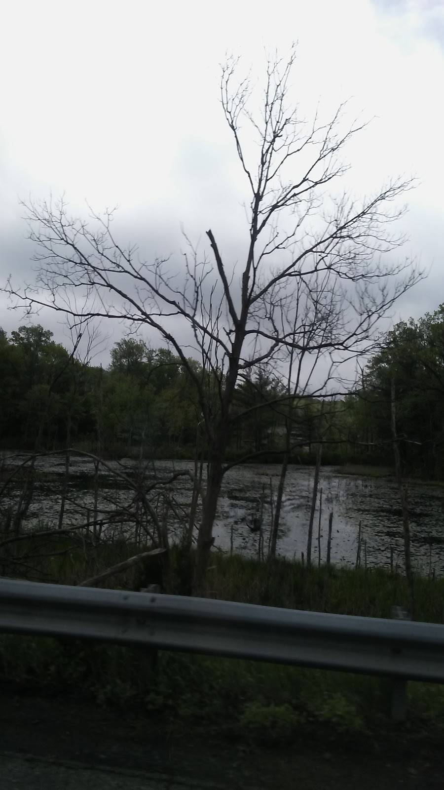 Magic Lantern | restaurant | 399 Wilbraham St, Palmer, MA 01069, USA | 4132839275 OR +1 413-283-9275