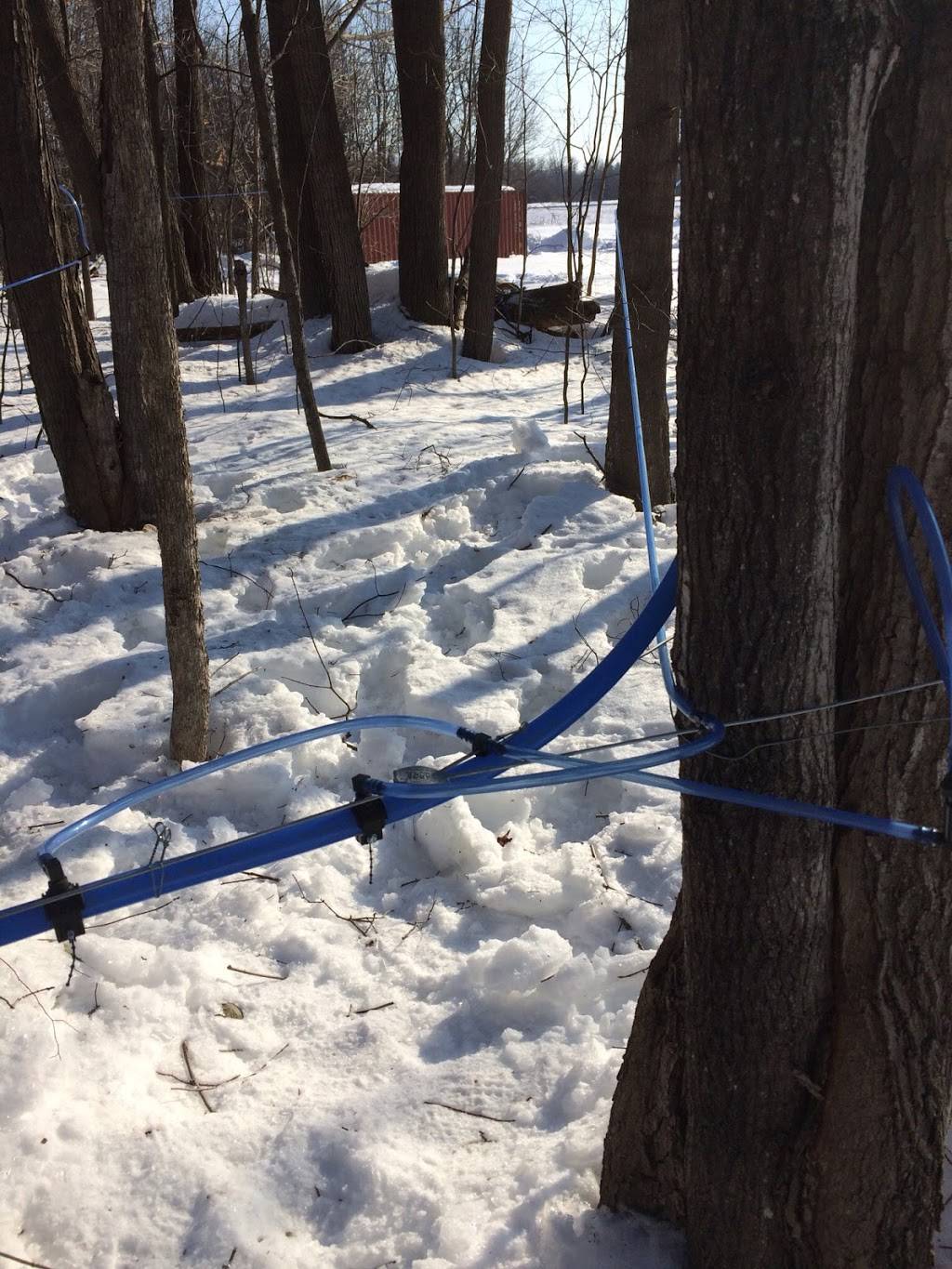 Greenlane Maple | restaurant | 2875 Greenlane east, East Hawkesbury, ON K6A 2R2, Canada | 6136764035 OR +1 613-676-4035