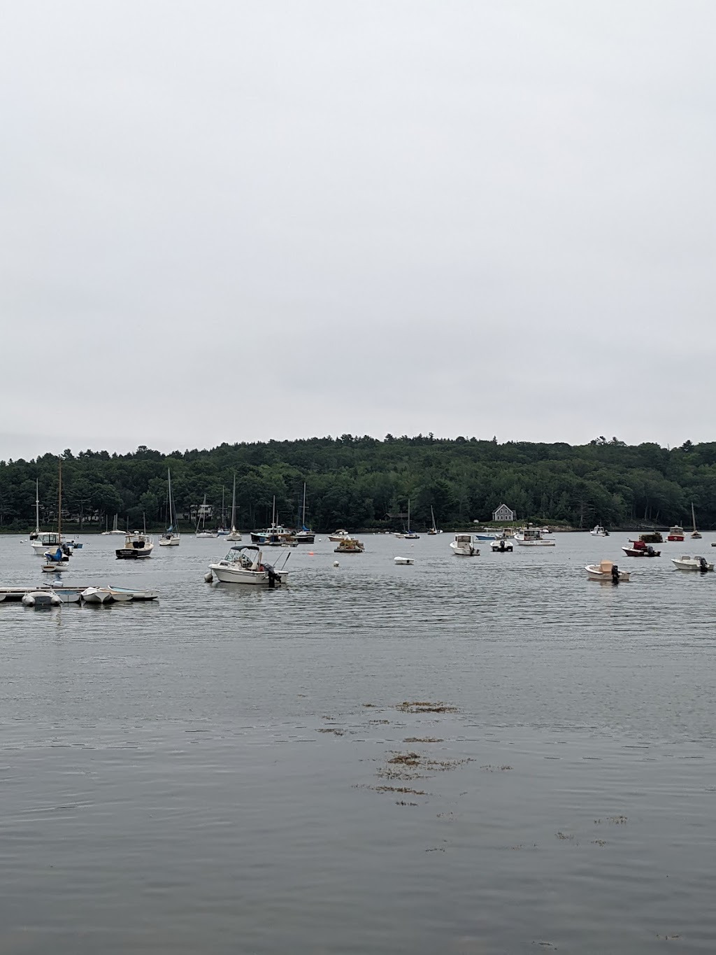 Round Pond Lobster CoOp | restaurant | 25 Town Landing Rd, Round Pond, ME 04564, USA | 2075295725 OR +1 207-529-5725