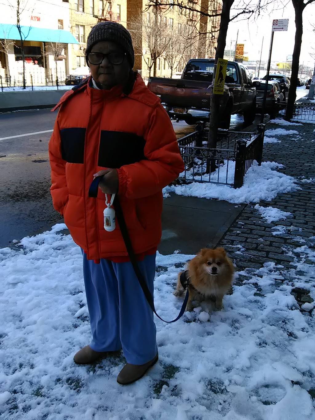 May May | restaurant | 741 Hunts Point Ave, Bronx, NY 10474, USA | 7185425307 OR +1 718-542-5307