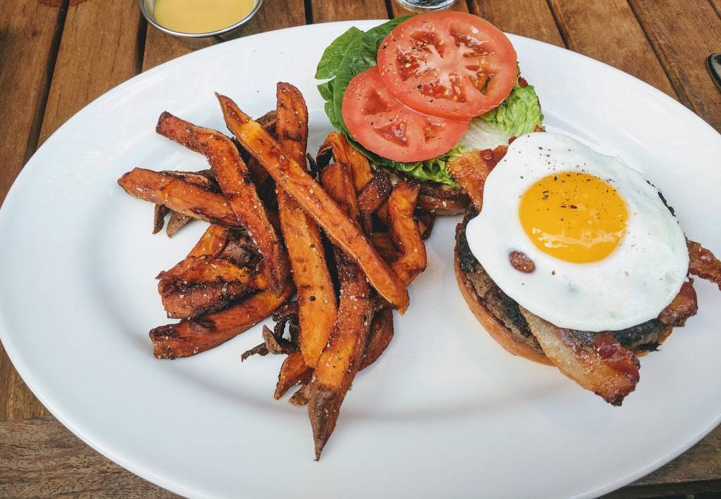 Doc Bs Restaurant + Bar | restaurant | 2223 N Westshore Blvd B-206, Tampa, FL 33607, USA | 8134986200 OR +1 813-498-6200