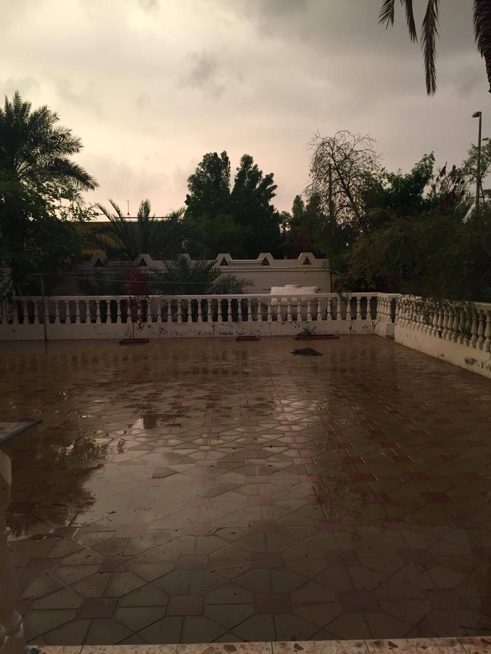 Jack Pirtle Fried Chicken | restaurant | 890 Thomas St, Memphis, TN 38107, USA | 9015277790 OR +1 901-527-7790