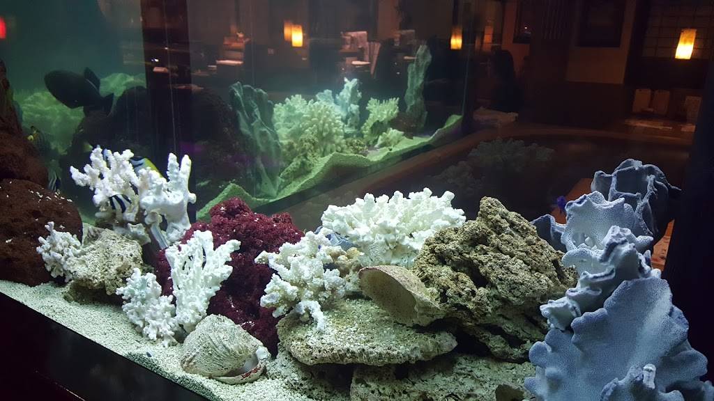 Matoi Sushi | restaurant | 602 N Dale Mabry Hwy, Tampa, FL 33609, USA | 8138713233 OR +1 813-871-3233