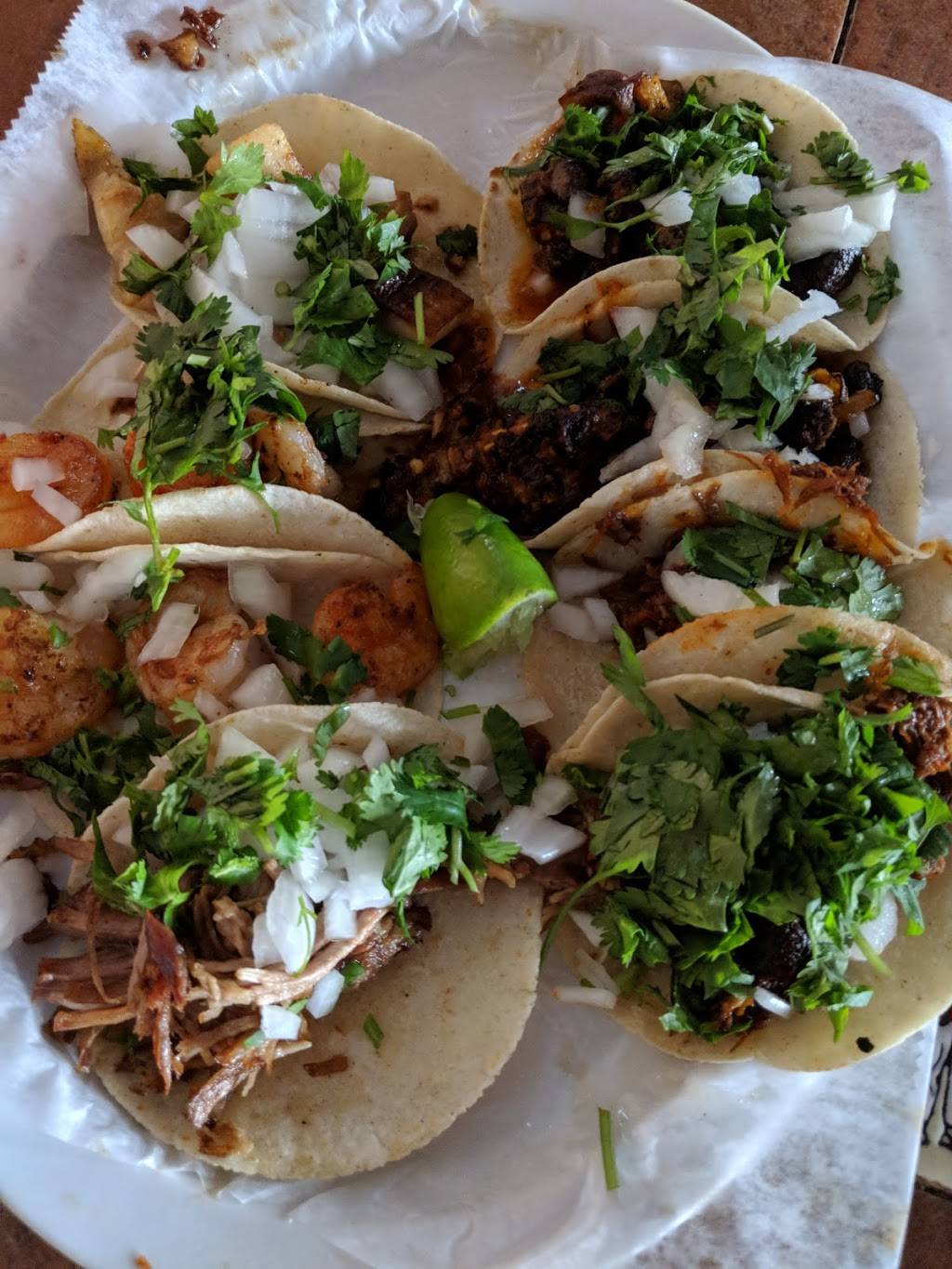 El Mariachi Mexican Restaurant | restaurant | 1305 N Marine Blvd, Jacksonville, NC 28540, USA | 9103535886 OR +1 910-353-5886