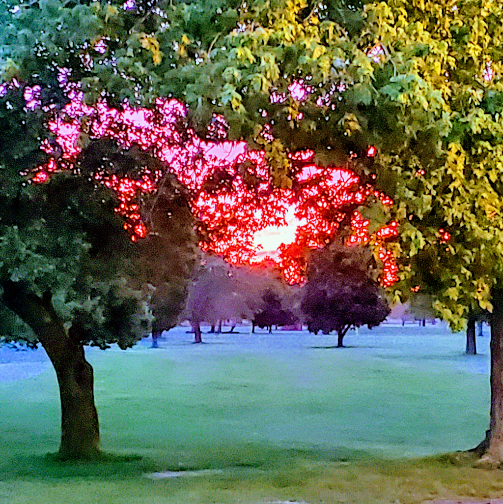 Willow Pond Golf Course | restaurant | 808 Golfcourse Rd, Rantoul, IL 61866, USA | 2178939000 OR +1 217-893-9000