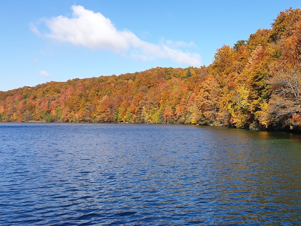 Chez Li | restaurant | 2039 Holly Oaks River Dr, Jacksonville, FL 32225, USA | 9546629622 OR +1 954-662-9622