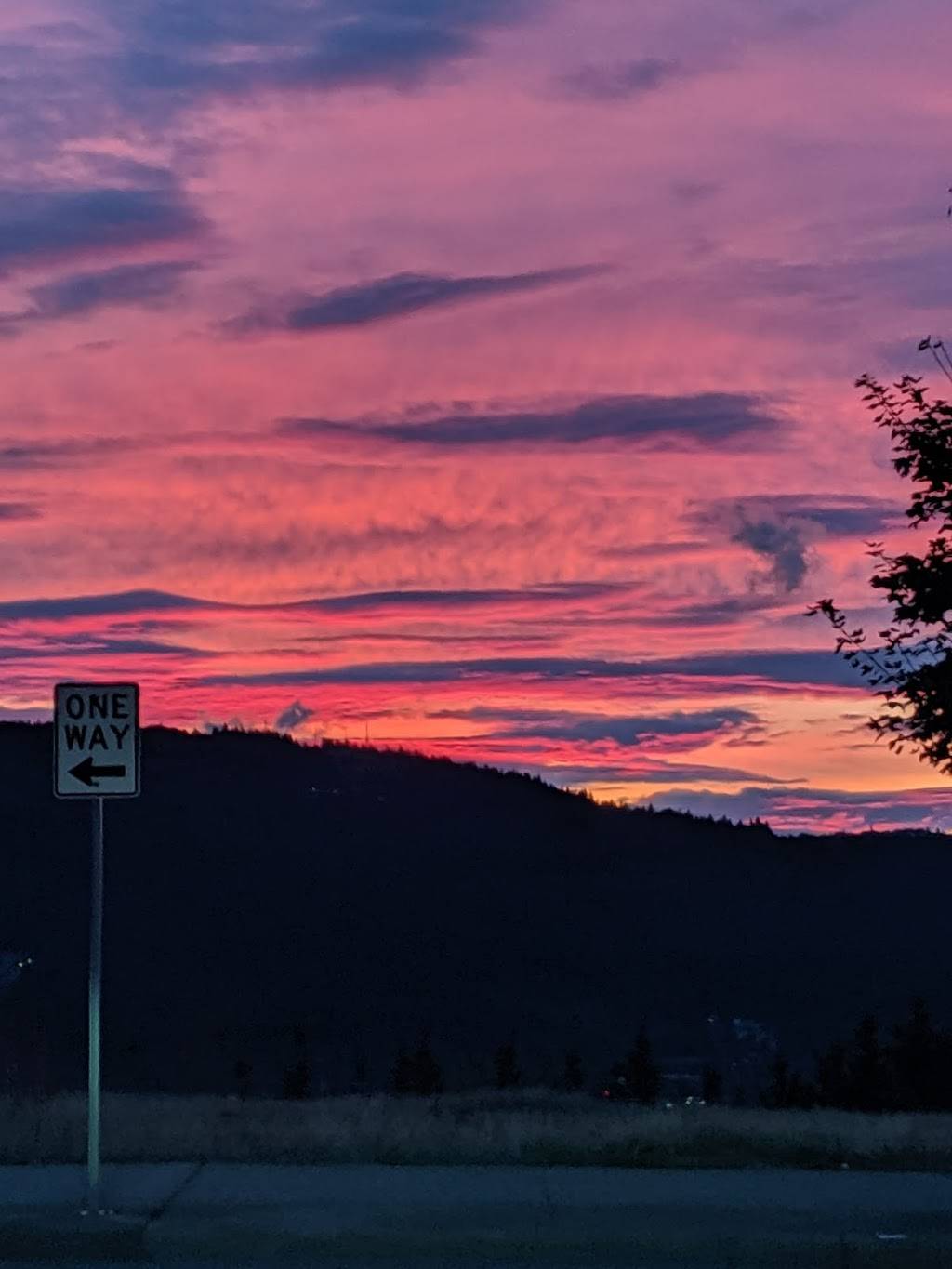 The Habit Burger Grill | restaurant | 1676 9th Ave NE #120, Issaquah, WA 98029, USA | 4256778014 OR +1 425-677-8014