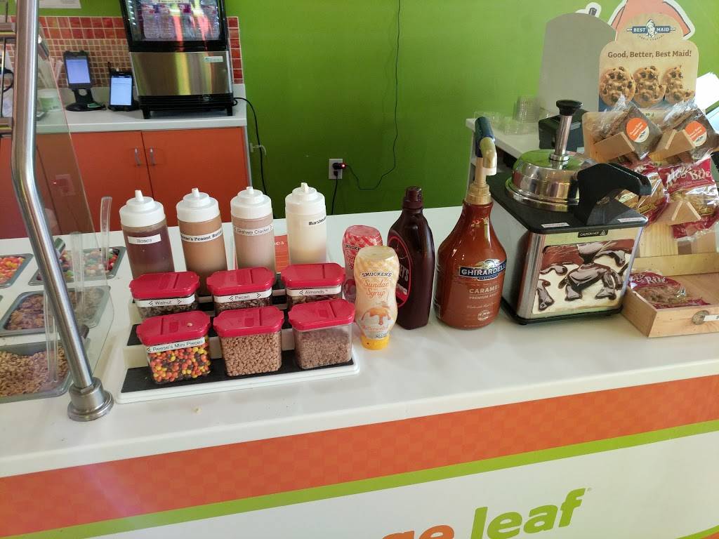 Orange Leaf | restaurant | 5207 Brodie Ln Ste 105, Sunset Valley, TX 78745, USA | 5125204338 OR +1 512-520-4338