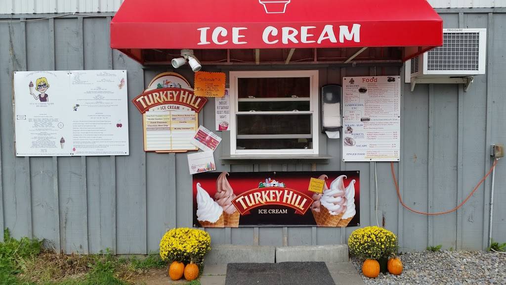 Wendys Diner & Ice Cream Too | restaurant | 1717 NY-8, Cassville, NY 13318, USA | 3158395000 OR +1 315-839-5000