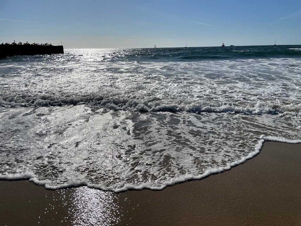 T.C.Organic | restaurant | 333 Culver Blvd, Playa Del Rey, CA 90293, USA | 3104392700 OR +1 310-439-2700