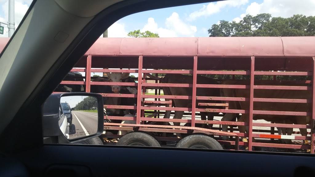 RaceTrac | cafe | 6050 E, FL-60, Plant City, FL 33567, USA | 8137373916 OR +1 813-737-3916