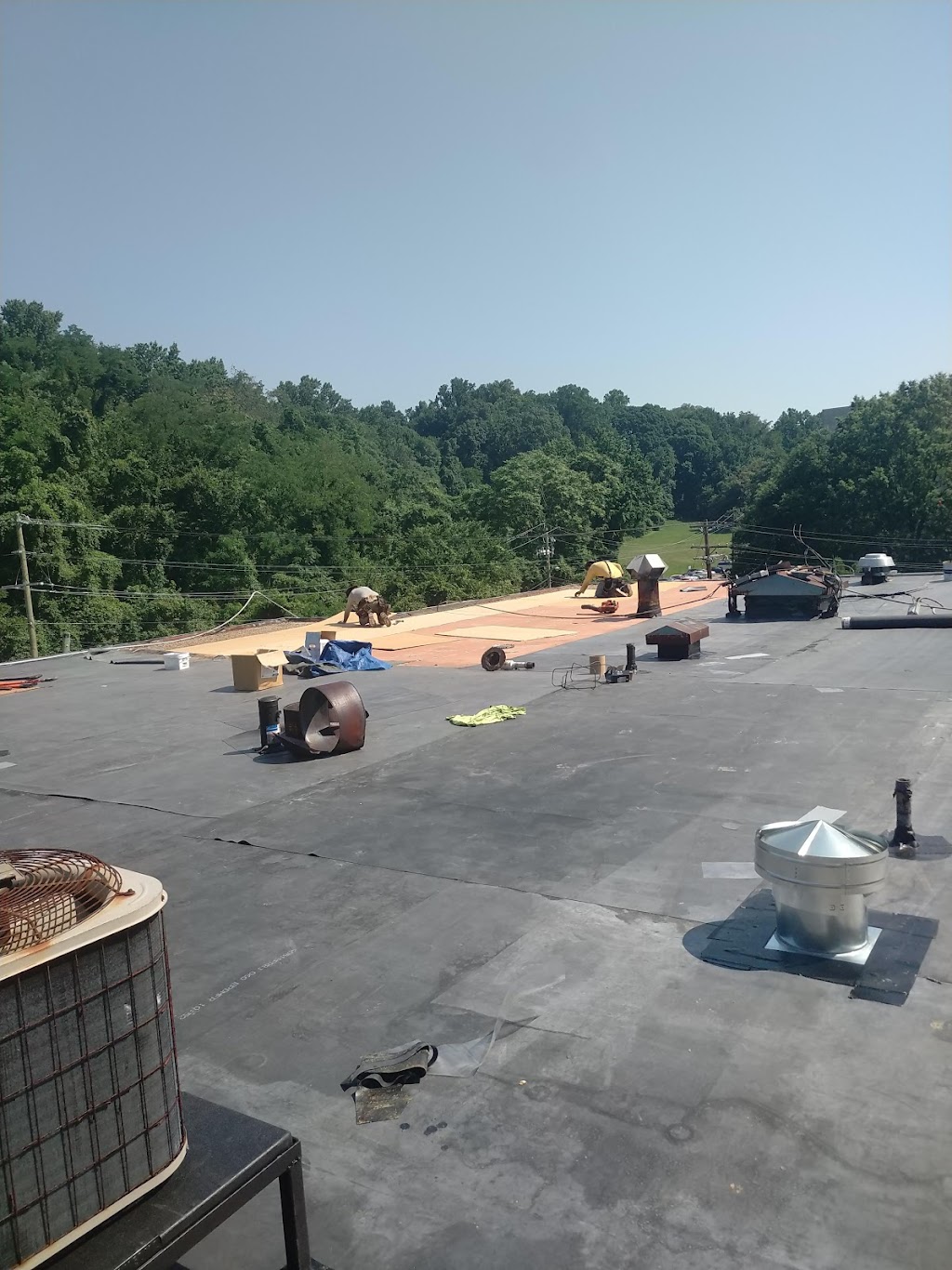 Renova | restaurant | Bunche St, Annapolis, MD 21401, USA | 4435343139 OR +1 443-534-3139