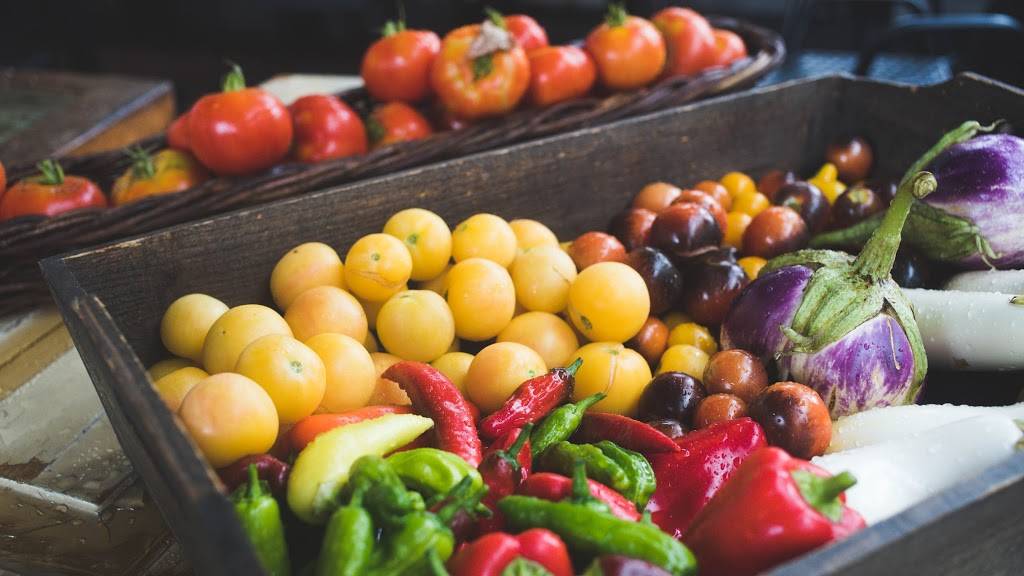 Homestead On The Roof | restaurant | 1924 W Chicago Ave, Chicago, IL 60622, USA | 7733322354 OR +1 773-332-2354