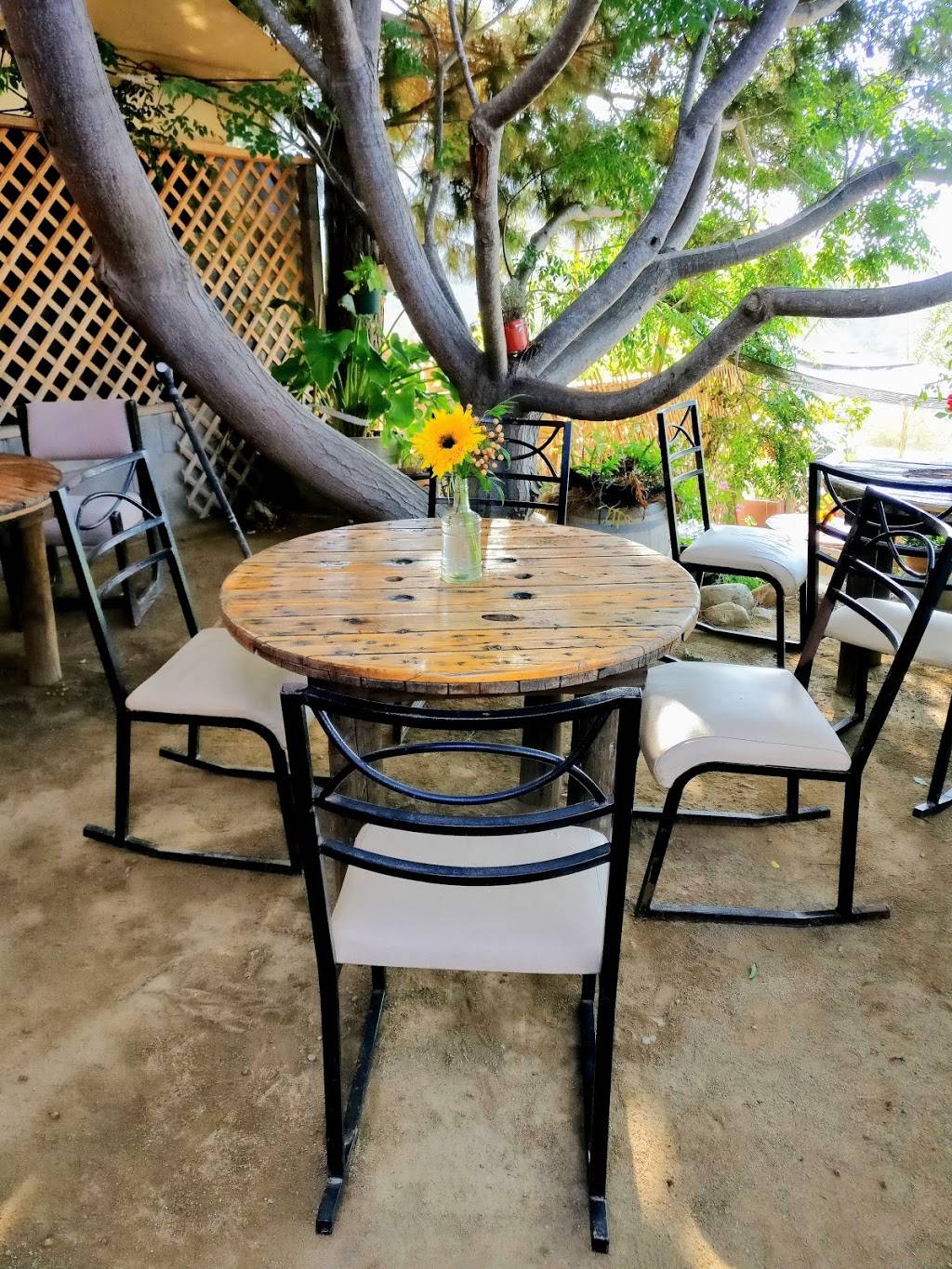 Paraíso Restaurant | restaurant | Calle Gómez Farías No.4, 22766 Villa de Juárez, B.C., Mexico | 016461973719 OR +52 646 197 3719