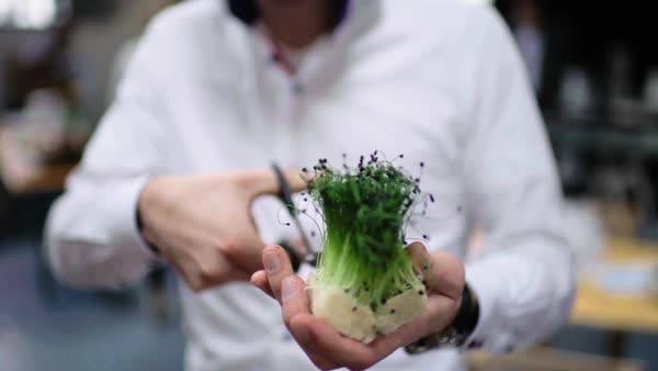 Life Field Gardens | restaurant | 3329 Bath Heights Dr, Cuyahoga Falls, OH 44223, USA | 3303886201 OR +1 330-388-6201