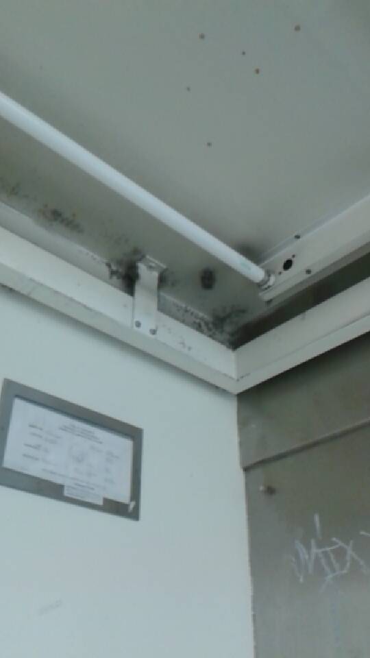 Laney College Cafeteria | restaurant | 900 Fallon St, Oakland, CA 94607, USA | 5108345740 OR +1 510-834-5740