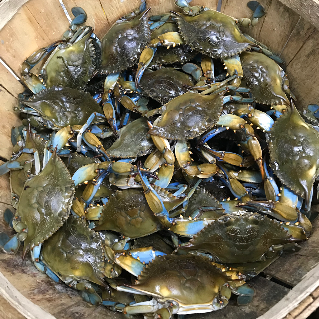 Cruising Crab | restaurant | 11131 Pulaski Hwy, White Marsh, MD 21162, USA | 4109800018 OR +1 410-980-0018