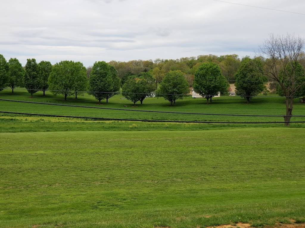 Valley Pike BBQ Co. | restaurant | 3494 Lee Hwy, Weyers Cave, VA 24486, USA | 5409290249 OR +1 540-929-0249