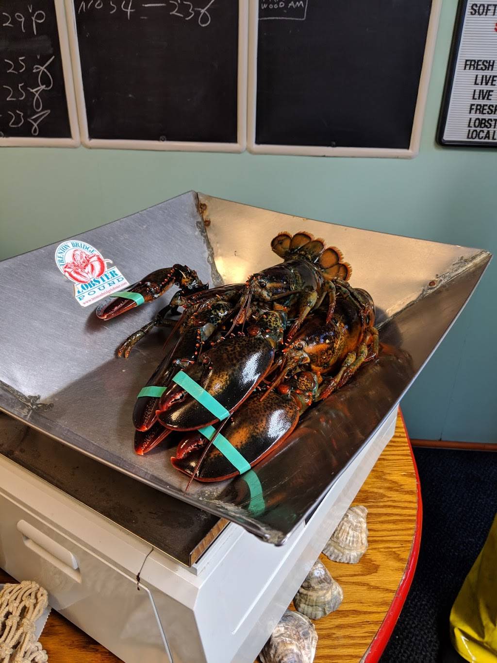 Trenton Bridge Lobster Pound | restaurant | 1237 Bar Harbor Rd, Trenton, ME 04605, USA | 2076672977 OR +1 207-667-2977