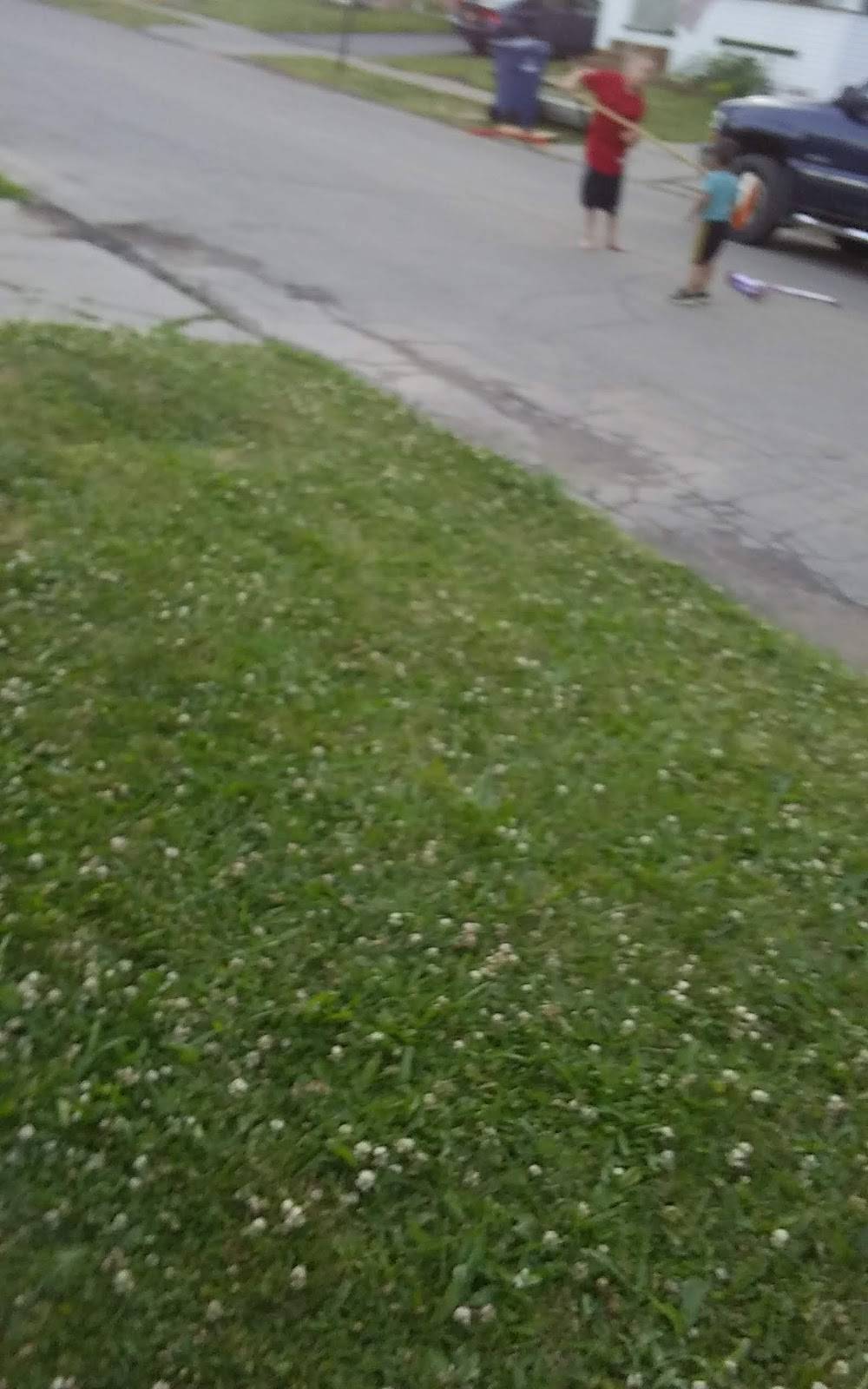 Subway Restaurants | restaurant | 2168 Delaware Ave, Buffalo, NY 14216, USA | 7163620206 OR +1 716-362-0206