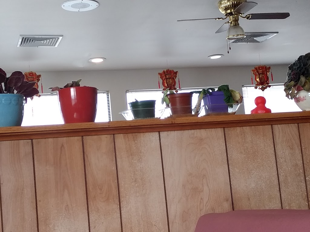 Tea Palace | restaurant | 46 E Dunlap Dr, Pueblo West, CO 81007, USA | 7195478288 OR +1 719-547-8288