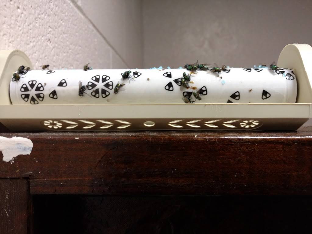 Dead Dog Saloon | restaurant | 3815 Landis Ave, Sea Isle City, NJ 08243, USA | 6092637600 OR +1 609-263-7600